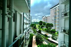 Blk 443D Fajar Hills (Bukit Panjang), HDB 4 Rooms #599898961